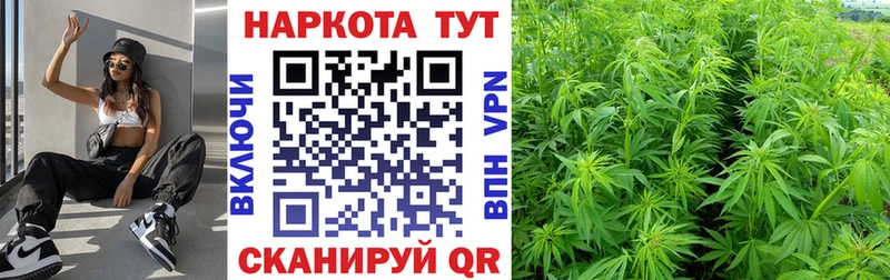 Виды наркоты Железногорск ГАШ БУТИРАТ АМФЕТАМИН Бошки Шишки Псилоцибиновые грибы Меф мяу мяу kraken ONION COCAIN