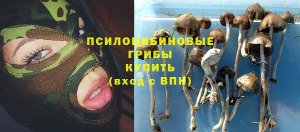первитин Вяземский