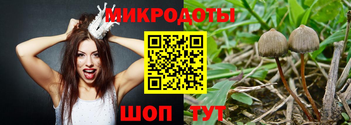 Галлюциногенные грибы мицелий Железногорск